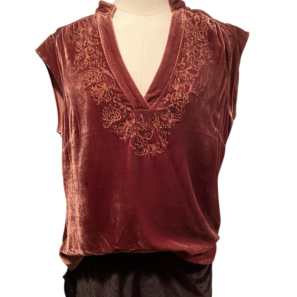 Stunning Anthropologie Fei velvet top. Embroidered and beaded medium